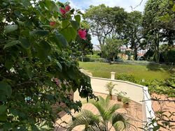 Kingsville (D10), Semi-Detached #483552761